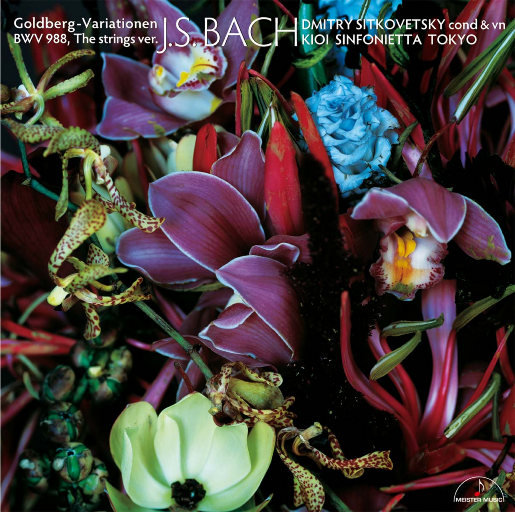 男c女🔞黄㊙️❌打睾丸
